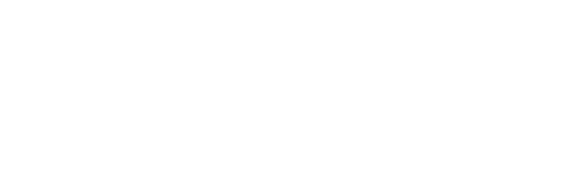Custom Logo