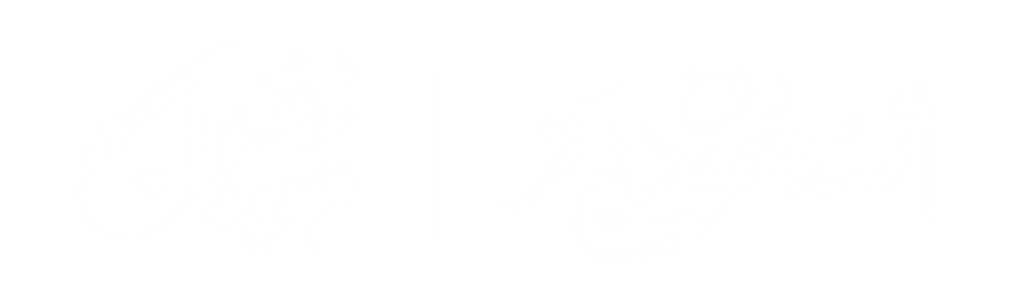 Custom Logo