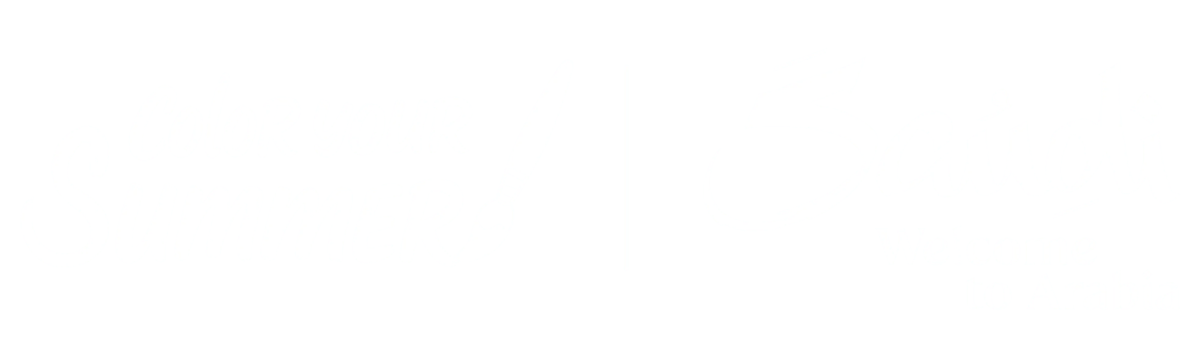 Custom Logo